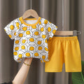 CODE 11069